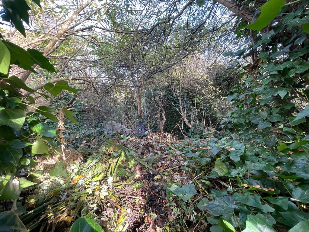 Lot: 114 - OVERGROWN PARCEL OF LAND IN RESIDENTIAL AREA - View of the overgrown land